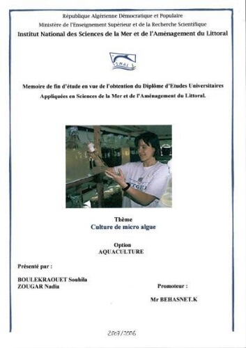 Culture de micro algue Culture de micro algue