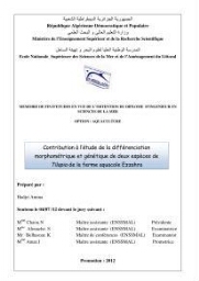 Contribution à l'étude de la différenciation morphométrique et génétique de deux espèces de Tilapia de la ferme aquacole Ezzahra: