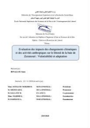Evaluation des impacts des changements climatiques et des activités anthropiques sur le littoral de la baie de Zemmouri: Vulnérabilité et adaptation