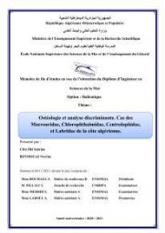 Ostéologie et analyse discriminante : cas des Macrouridae, Chlorophthalmidae, Centrolophidae, et Labridae de la côte algérienne.
