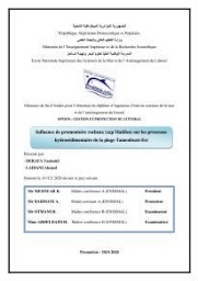 Influence de promontoire rocheux (cap Matifou) sur les processus hydrosédimentaire de la plage Tamenfoust-Est