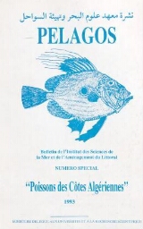 Pélagos: poissons des côtes algériennes