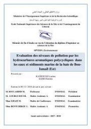 Evaluation des niveaux de pollution par les hydrocarbures aromatiques polycycliques dans les eaux et sédiments marins de la baie de Bou- Ismail (Est):
