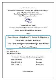 Contribution a l’étude de l’évolution de l’herbier à Posidonie (Posidonia oceanica) sous l’effet de la pression anthropique dans la baie de Bou-Ismail à Alger