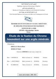Etude de la fixation du chrome hexavalent sur une argile minérale