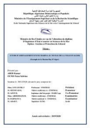 Etude d'aménagement d'une Marina au niveau de la ville d'Alger (exemple de la Marina baie d'Alger):