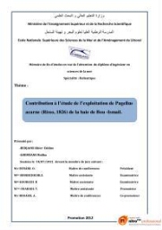 Contribution à l'étude de l'exploitation de Pagellus acarne (Risso, 1826) de la baie de Bou-ismail: