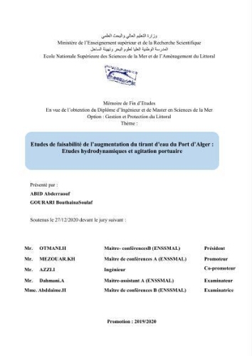 Etudes de faisabilité de l’augmentation du tirant d'eau du Port d’Alger :études hydrodynamiques et agitation portuaire Etudes de faisabilité de l’augmentation du tirant d'eau du Port d’Alger :études hydrodynamiques et agitation portuaire