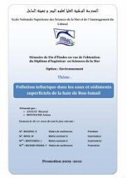 Pollution tellurique dans les eaux et sédiments superficiels de la baie de Bou-Ismail